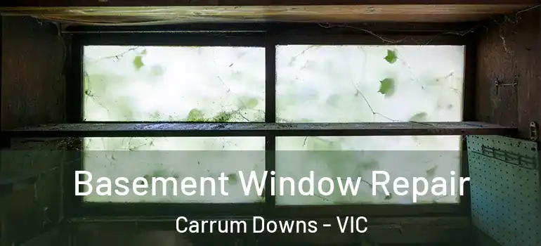  Basement Window Repair Carrum Downs - VIC