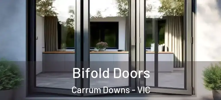Bifold Doors Carrum Downs - VIC