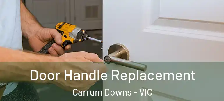  Door Handle Replacement Carrum Downs - VIC