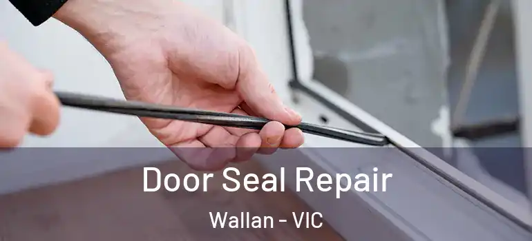 Door Seal Repair Wallan - VIC