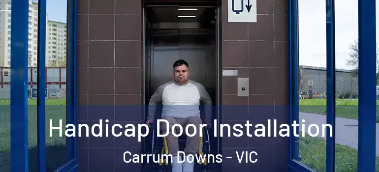 Handicap Door Installation Carrum Downs - VIC