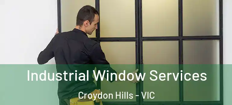 Industrial Window Services Croydon Hills - VIC