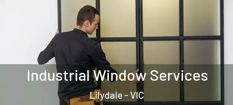 Industrial Window Services Lilydale - VIC