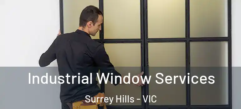 Industrial Window Services Surrey Hills - VIC