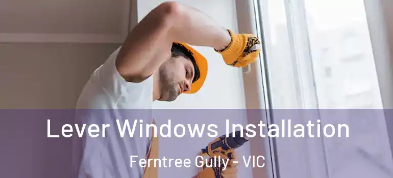  Lever Windows Installation Ferntree Gully - VIC