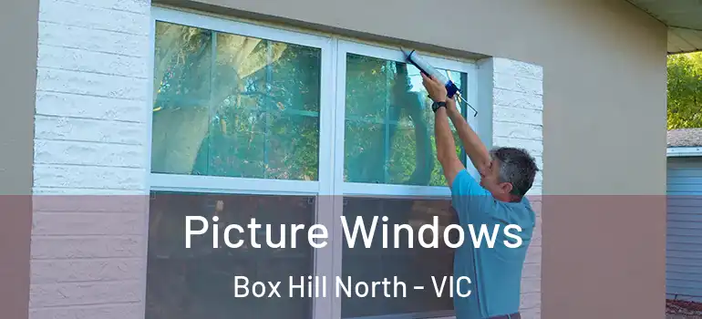 Picture Windows Box Hill North - VIC