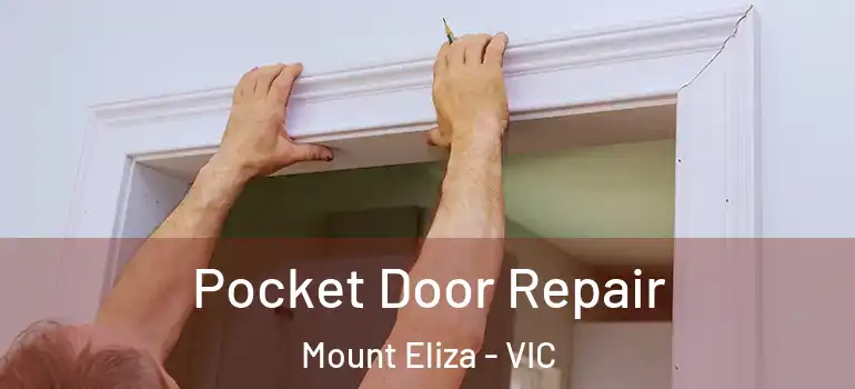 Pocket Door Repair Mount Eliza - VIC