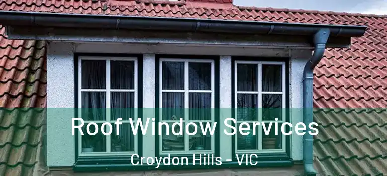 Roof Window Services Croydon Hills - VIC