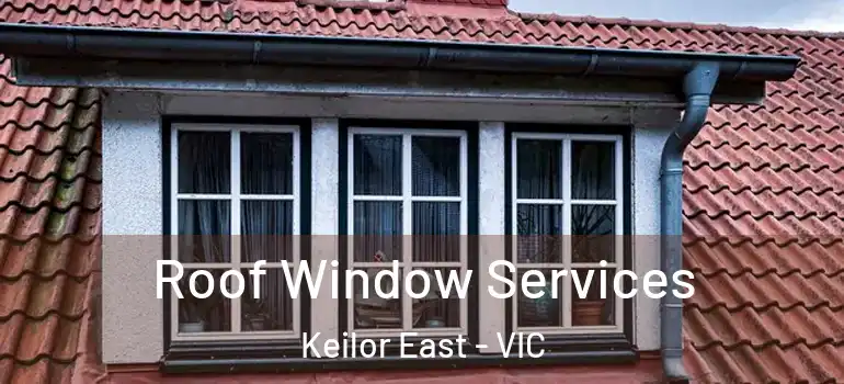 Roof Window Services Keilor East - VIC