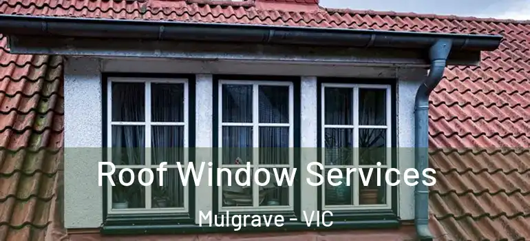 Roof Window Services Mulgrave - VIC