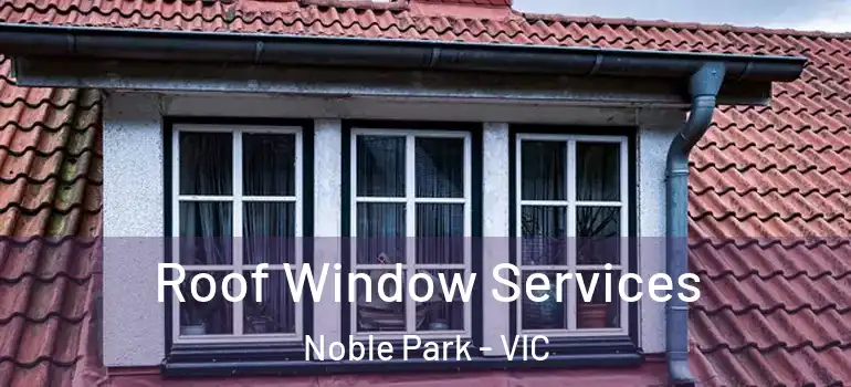 Roof Window Services Noble Park - VIC