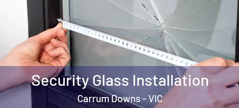  Security Glass Installation Carrum Downs - VIC