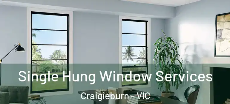  Single Hung Window Services Craigieburn - VIC