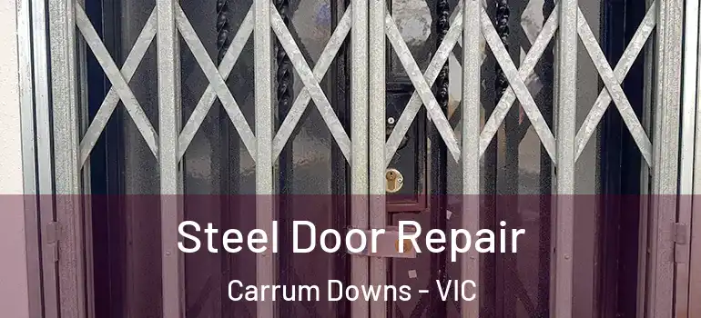 Steel Door Repair Carrum Downs - VIC