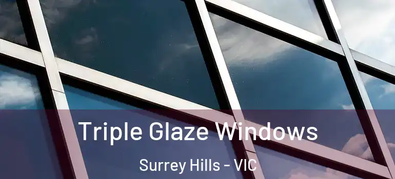 Triple Glaze Windows Surrey Hills - VIC