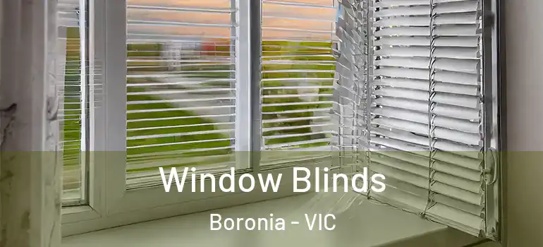 Window Blinds Boronia - VIC