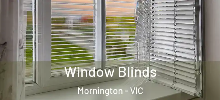 Window Blinds Mornington - VIC