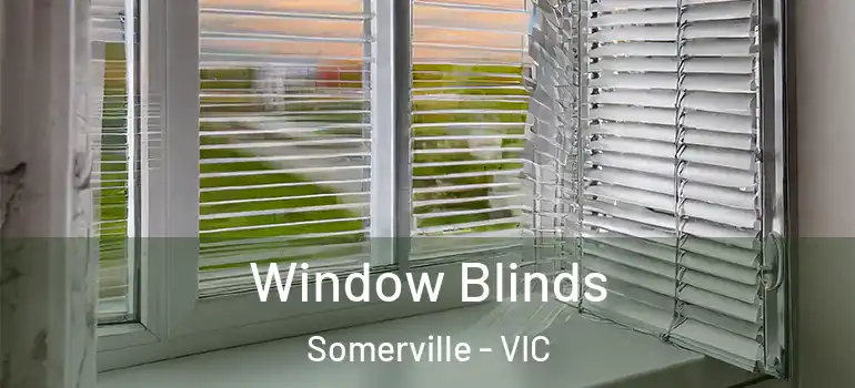 Window Blinds Somerville - VIC