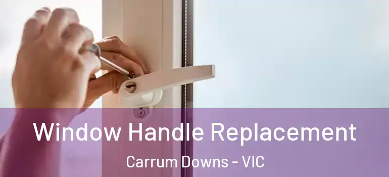Window Handle Replacement Carrum Downs - VIC