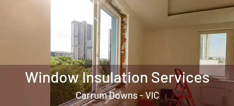  Window Insulation Services Carrum Downs - VIC