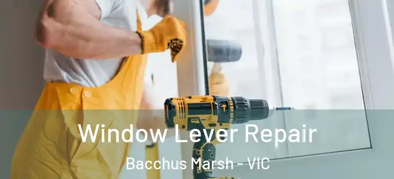 Window Lever Repair Bacchus Marsh - VIC