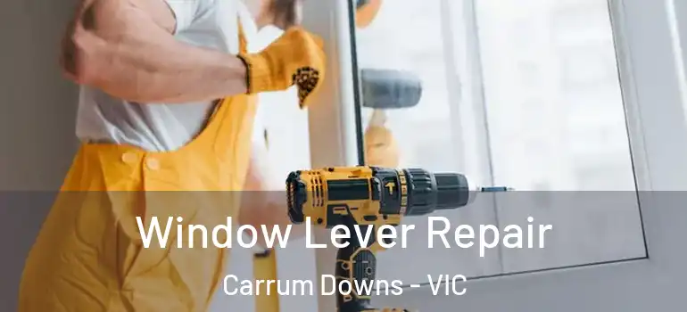 Window Lever Repair Carrum Downs - VIC