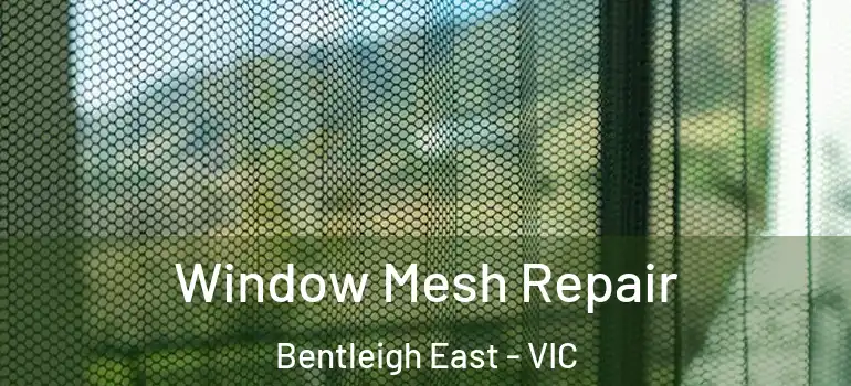 Window Mesh Repair Bentleigh East - VIC