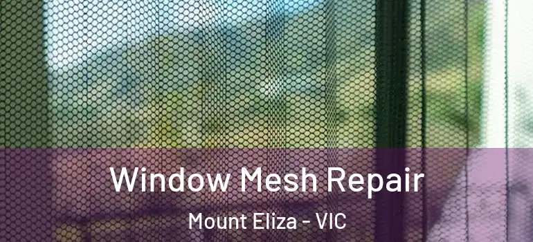 Window Mesh Repair Mount Eliza - VIC