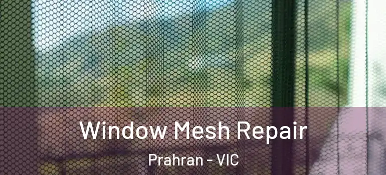 Window Mesh Repair Prahran - VIC