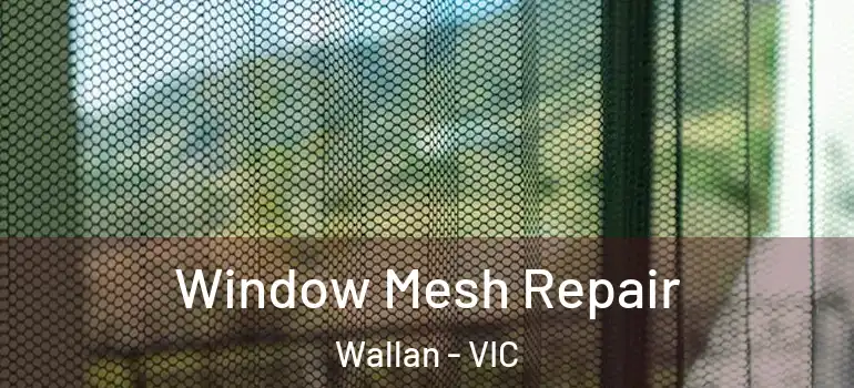 Window Mesh Repair Wallan - VIC