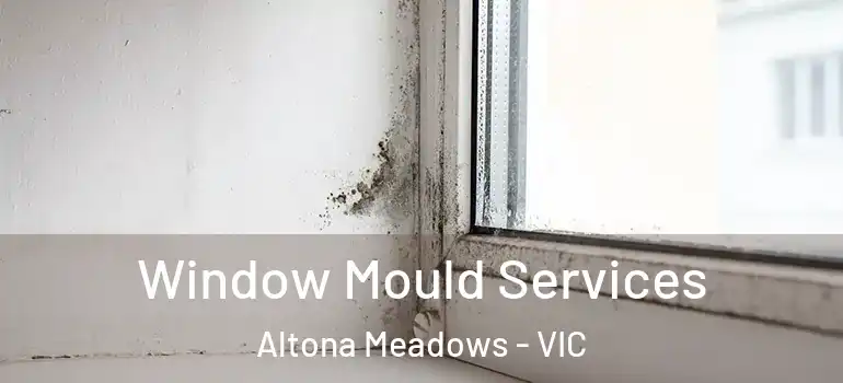 Window Mould Services Altona Meadows - VIC