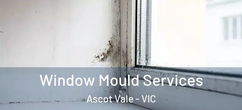Window Mould Services Ascot Vale - VIC