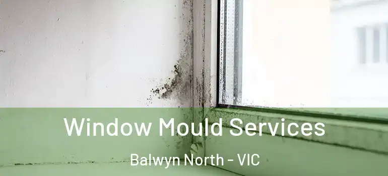 Window Mould Services Balwyn North - VIC
