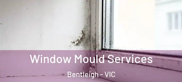 Window Mould Services Bentleigh - VIC