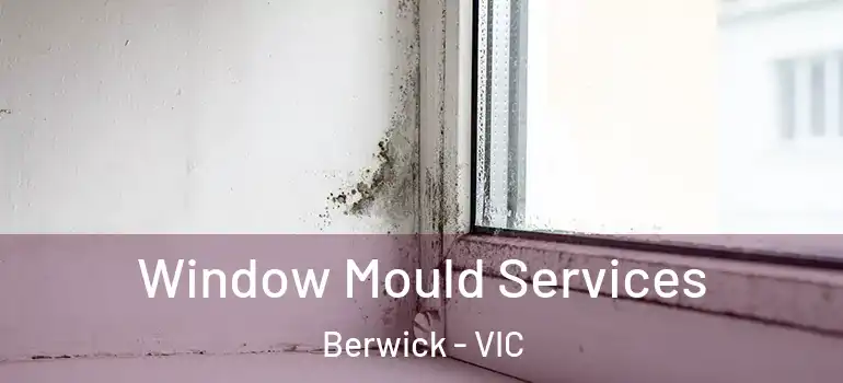 Window Mould Services Berwick - VIC