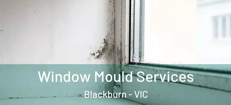 Window Mould Services Blackburn - VIC