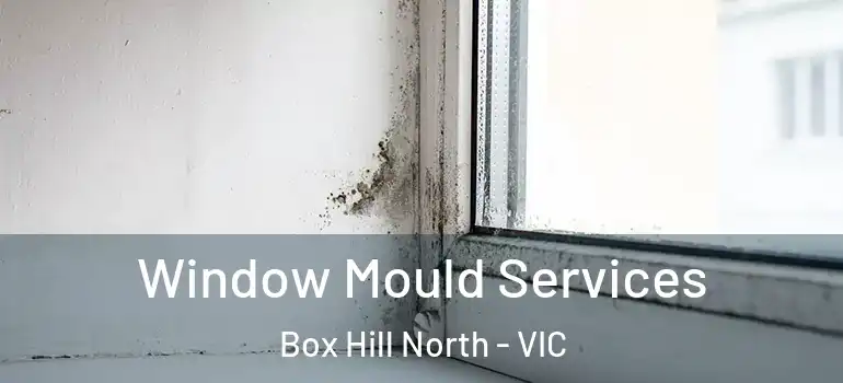Window Mould Services Box Hill North - VIC