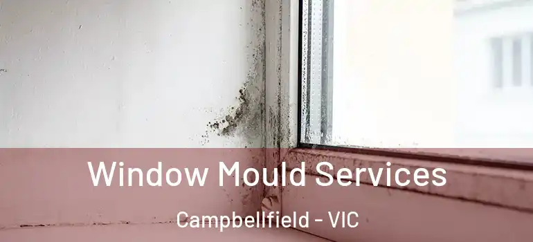 Window Mould Services Campbellfield - VIC