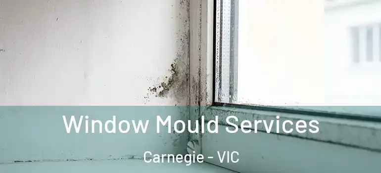Window Mould Services Carnegie - VIC