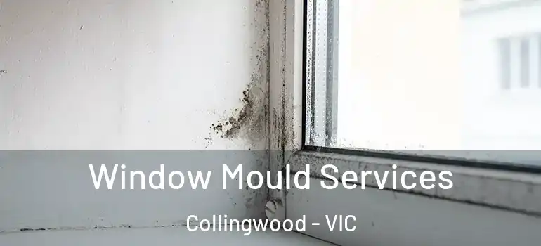 Window Mould Services Collingwood - VIC