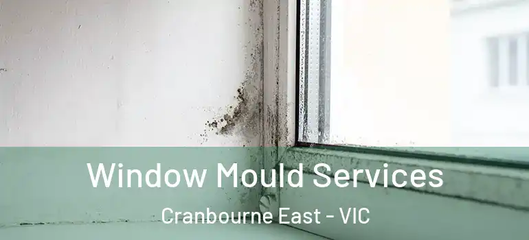 Window Mould Services Cranbourne East - VIC