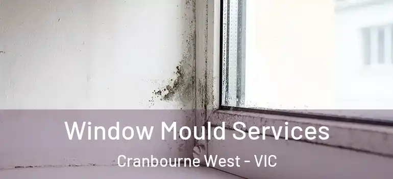 Window Mould Services Cranbourne West - VIC
