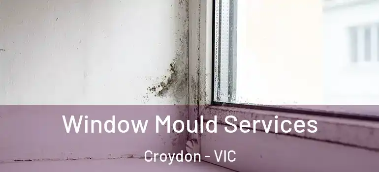 Window Mould Services Croydon - VIC