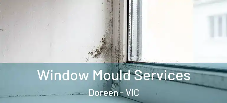 Window Mould Services Doreen - VIC