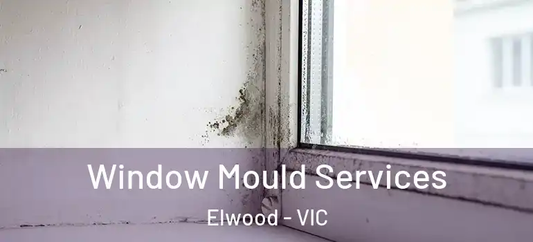 Window Mould Services Elwood - VIC