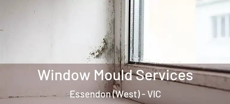 Window Mould Services Essendon (West) - VIC