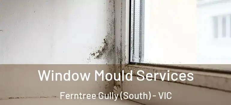 Window Mould Services Ferntree Gully (South) - VIC