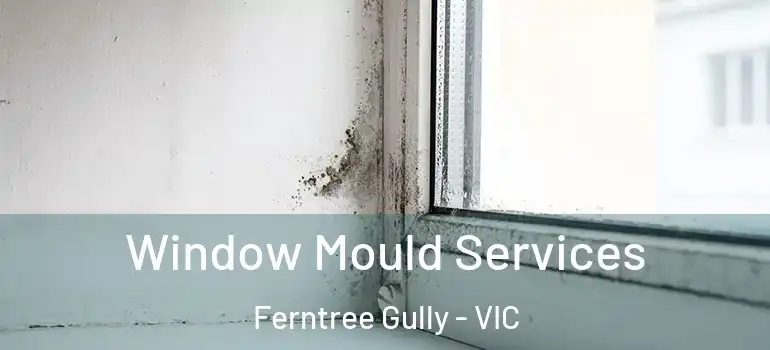Window Mould Services Ferntree Gully - VIC