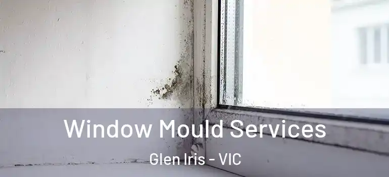 Window Mould Services Glen Iris - VIC