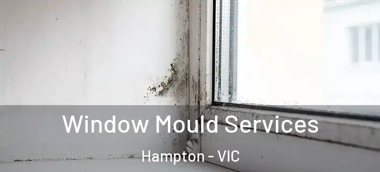 Window Mould Services Hampton - VIC
